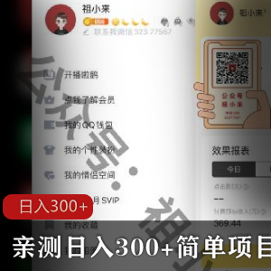 亲测日入300+简单项目，全教程。