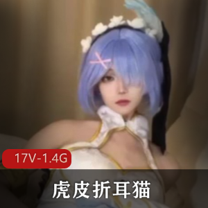 虎皮折耳猫-合集[17V-1.4G]